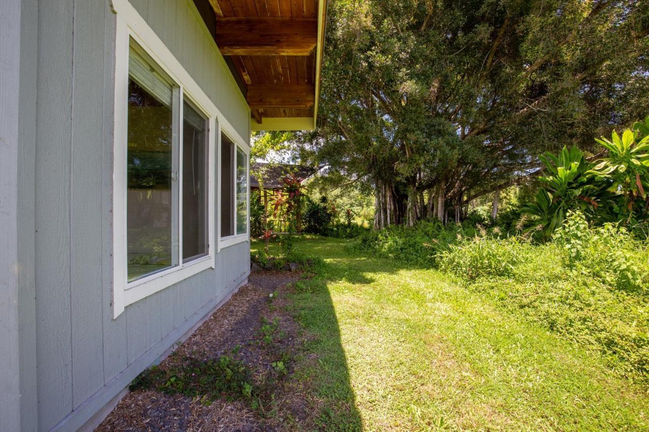 Kalani Oceanside Retreat Villa Pahoa Exterior photo