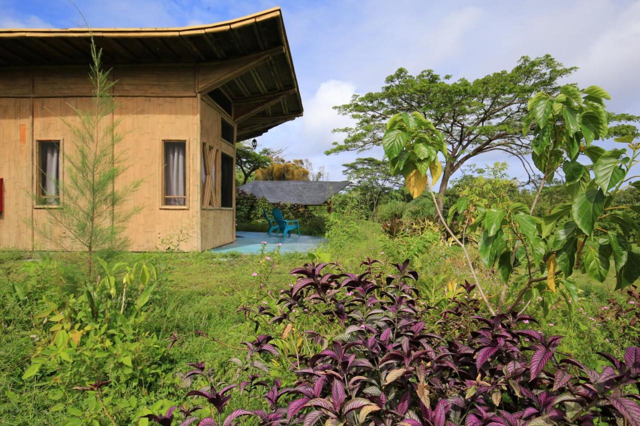 Kalani Oceanside Retreat Villa Pahoa Exterior photo