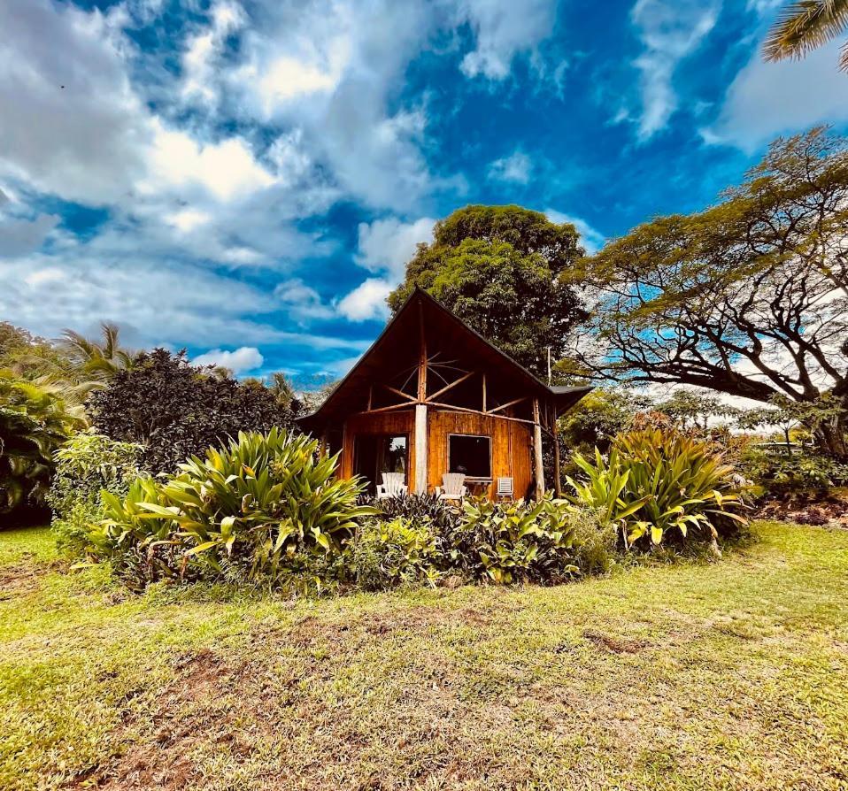 Kalani Oceanside Retreat Villa Pahoa Exterior photo